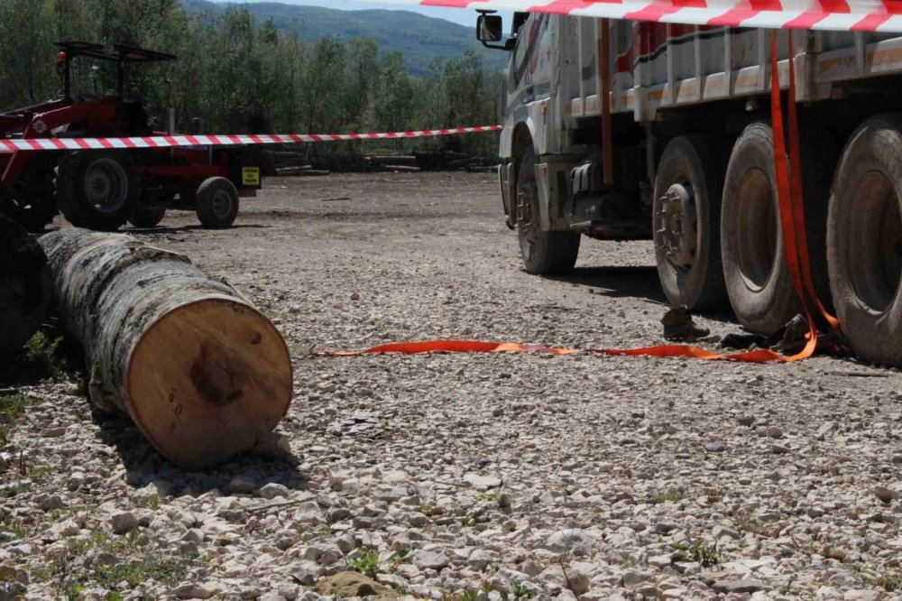 Tonlarca Tomruk Üzerine Devrildi!