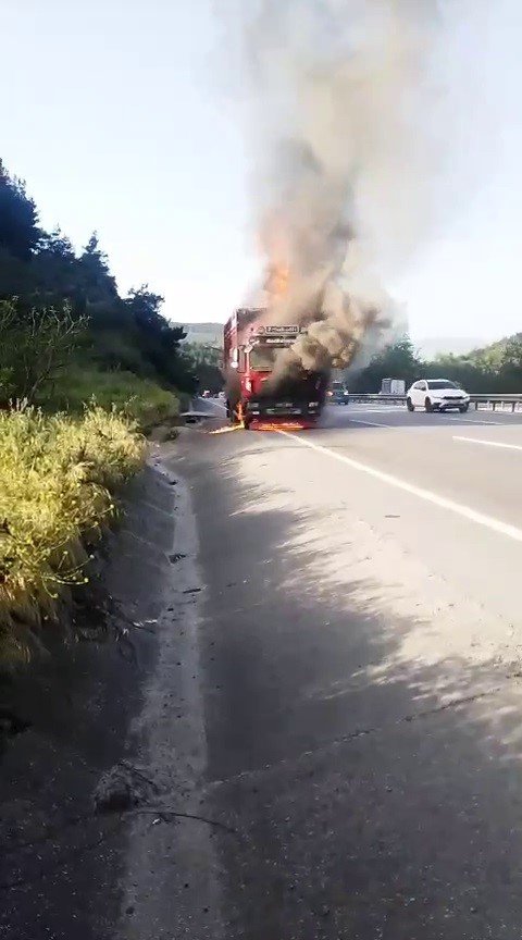 Hayvan Yüklü Kamyon Alev Aldı