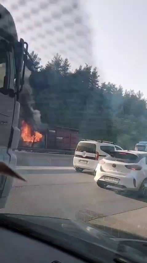 Hayvan Yüklü Kamyon Alev Aldı