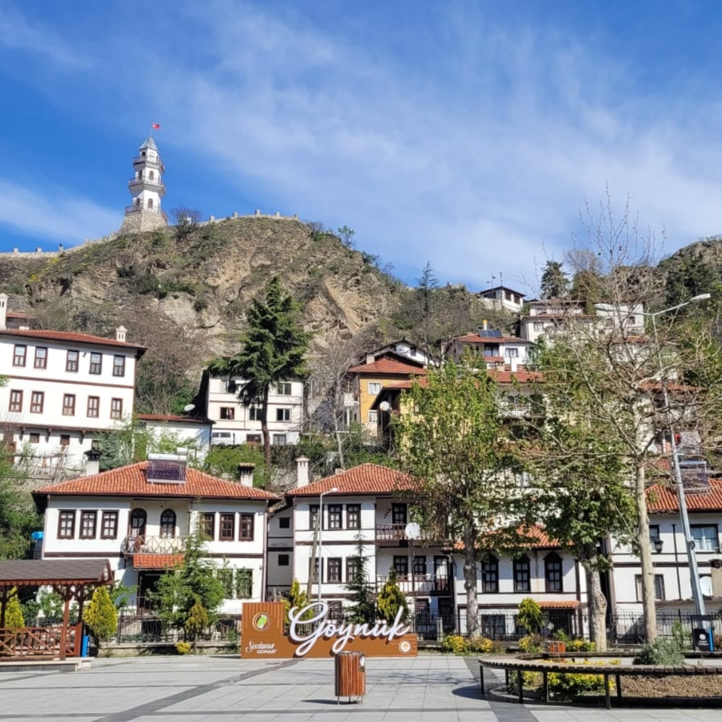 bolu2.jpg