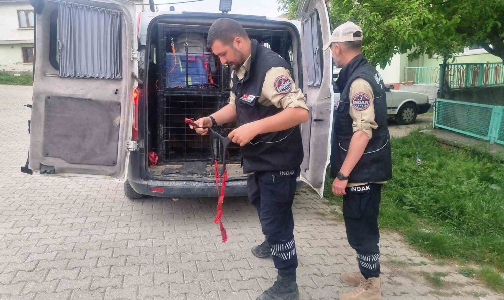 3 Gündür Haber Alınamayan Esnafı Arama Çalışmaları Sürüyor