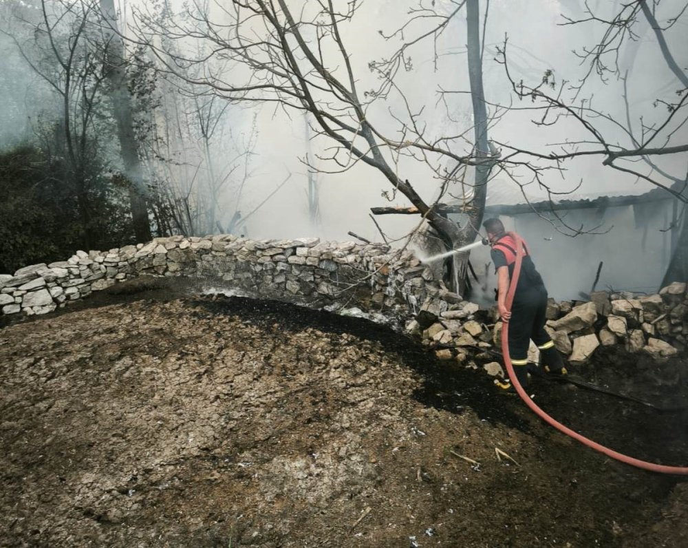 Çıkan Yangında 100 Tavuk Telef Oldu