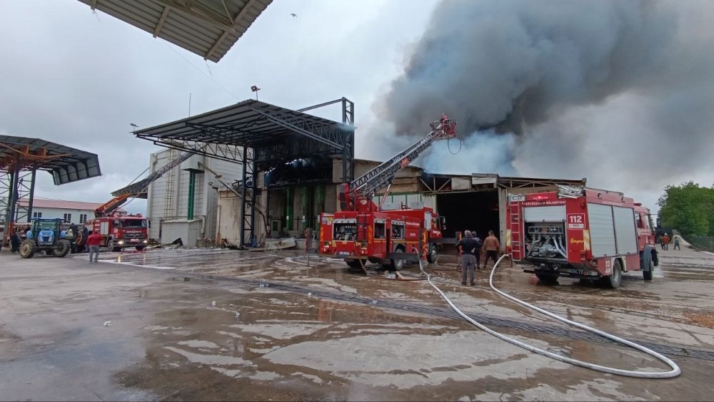 Korkutan Fabrika Yangını