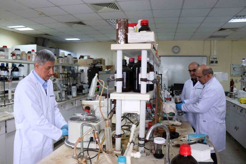 Çiftçinin Korkulu Rüyası Kokarcaya Yerli Tuzak