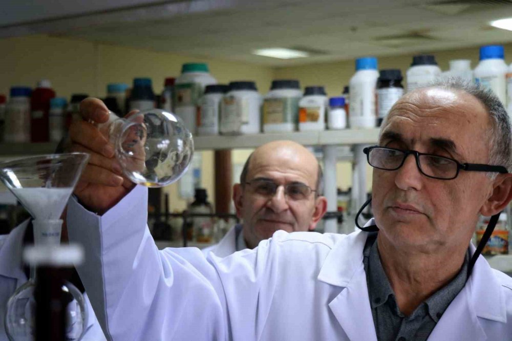 Çiftçinin Korkulu Rüyası Kokarcaya Yerli Tuzak