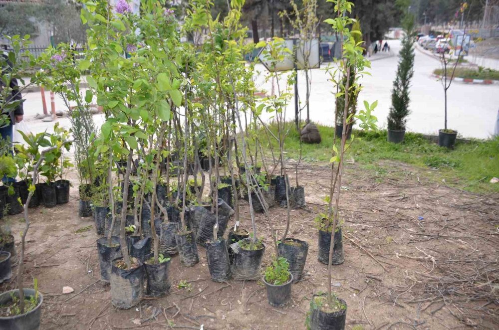 Dededen Toruna Uzanan Bir Meslek Mirası