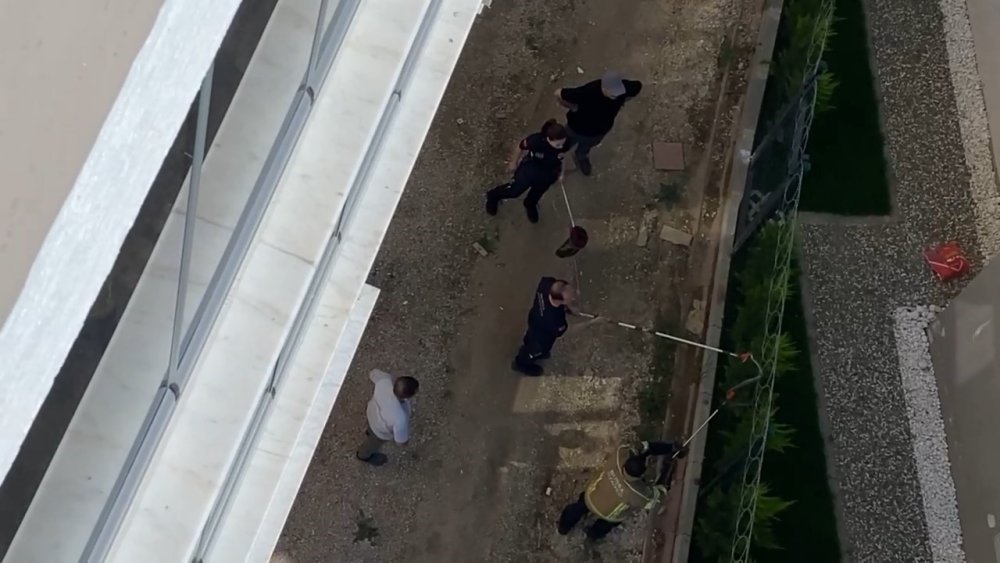 Tellere Dolanan 1,5 Metre Boyundaki Yılan Korkuttu