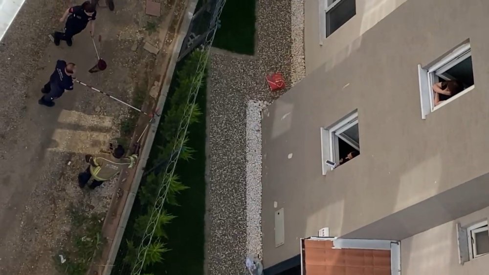 Tellere Dolanan 1,5 Metre Boyundaki Yılan Korkuttu