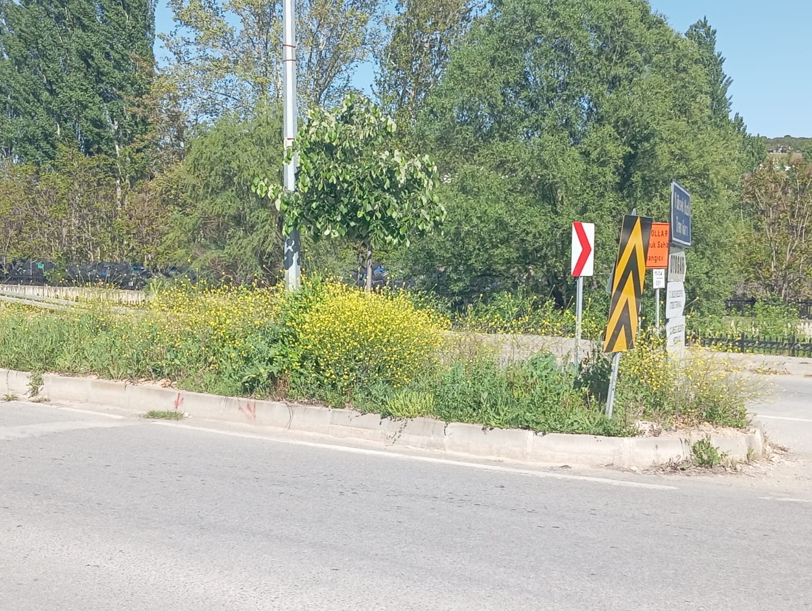 orta-refujde-buyuyen-otlar-kazaya-davetiye-cikariyo3.jpg
