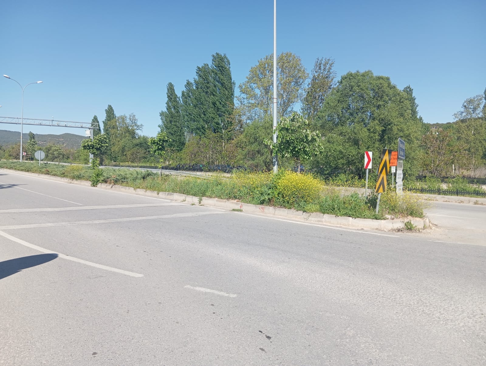 orta-refujde-buyuyen-otlar-kazaya-davetiye-cikariyo4.jpg