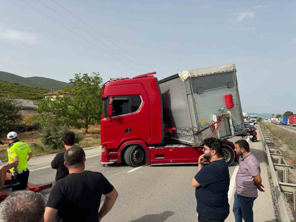 Tır sürücüsü arı ısırması sonucu şoka girdi!
