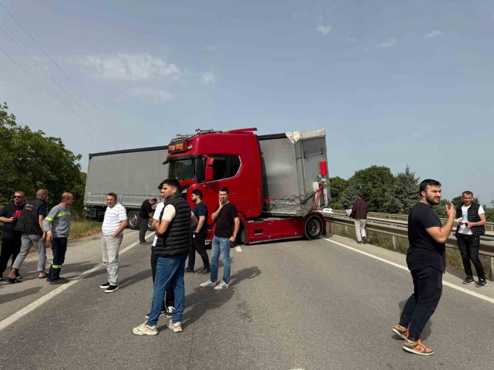 Tır sürücüsü arı ısırması sonucu şoka girdi!
