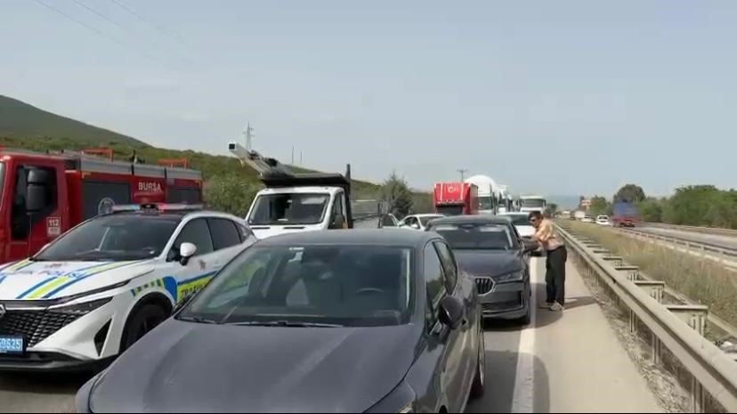 Tır sürücüsü arı ısırması sonucu şoka girdi!