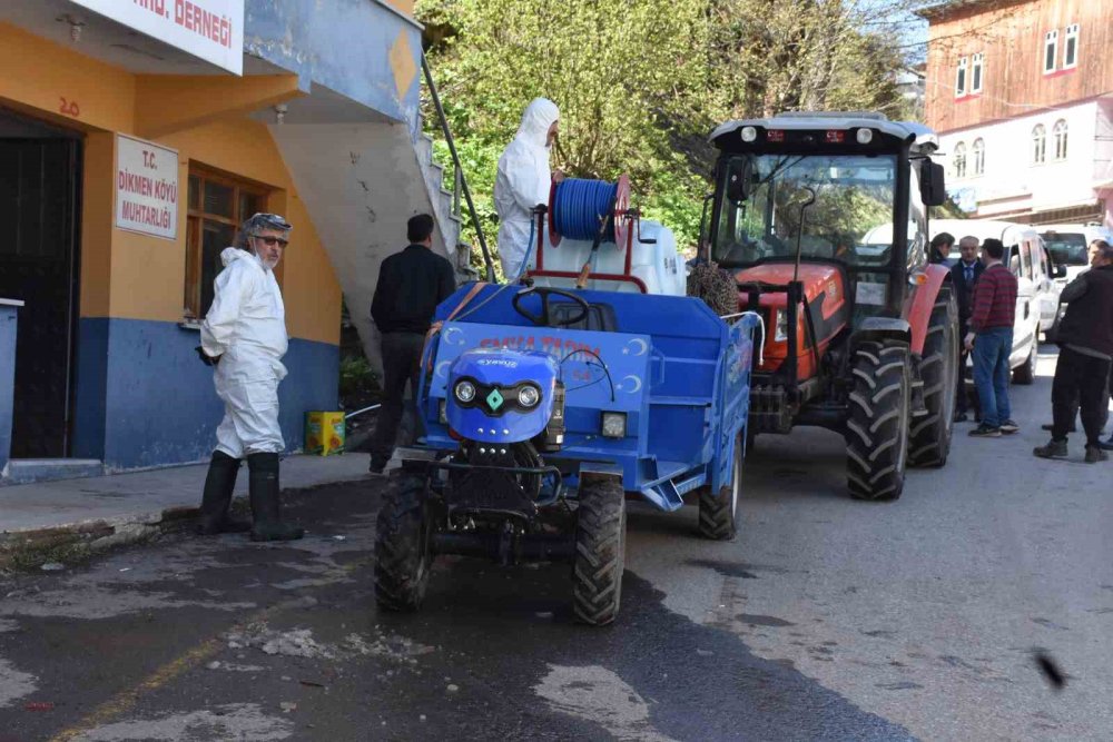 Kahverengi Kokarca Böceğine İlaçlı Önlem