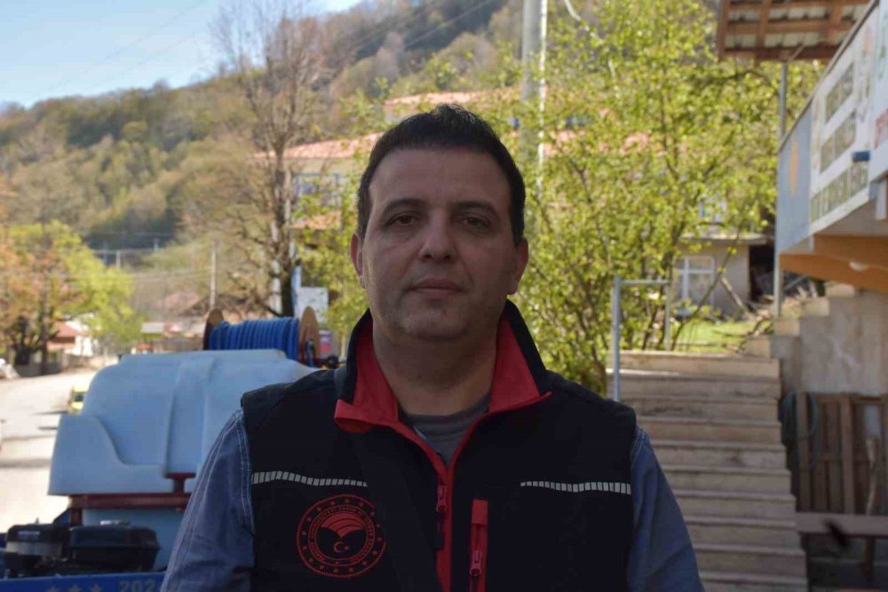 Kahverengi Kokarca Böceğine İlaçlı Önlem