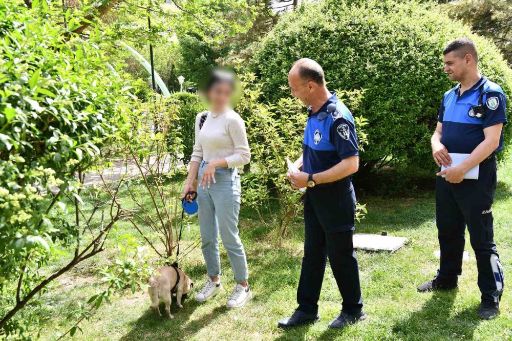 Zabıtadan Çevre Denetimi!
