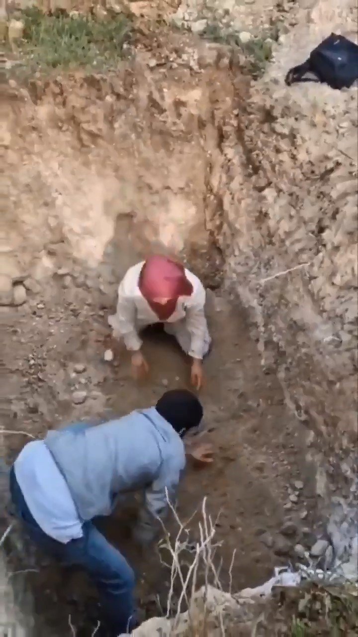 Ölen Köpekleri Mezardan Çıkarmaya Çalıştılar