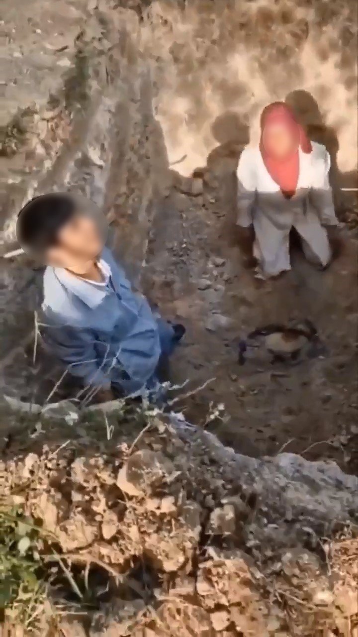 Ölen Köpekleri Mezardan Çıkarmaya Çalıştılar