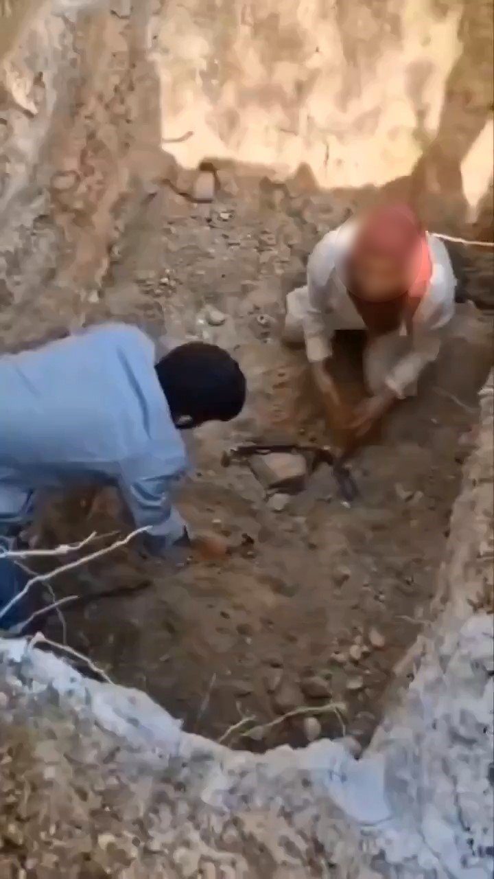 Ölen Köpekleri Mezardan Çıkarmaya Çalıştılar