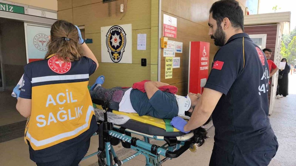 Üzüm Yaprağı Toplarken Çatıdan Düştü