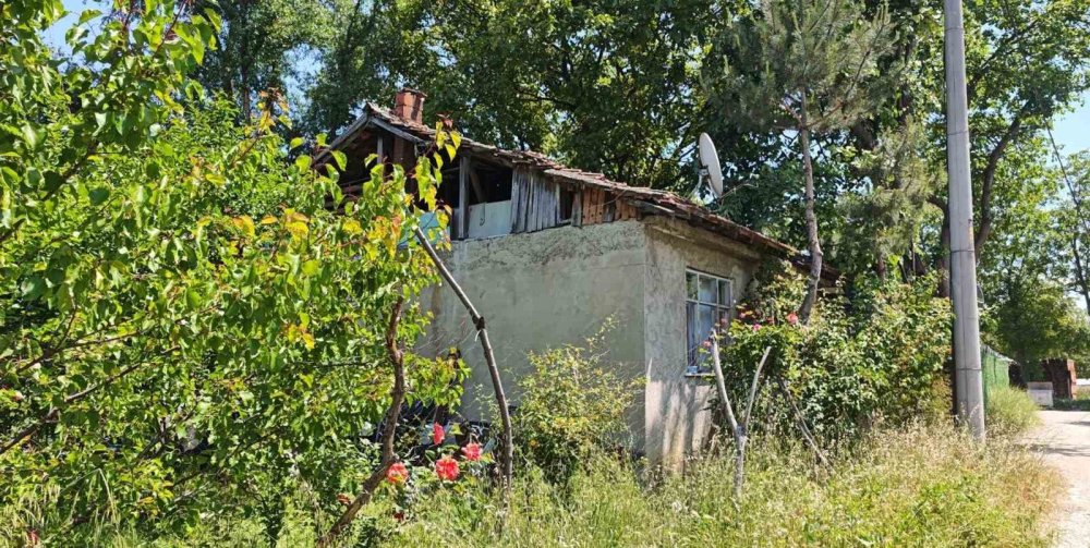 Üzüm Yaprağı Toplarken Çatıdan Düştü