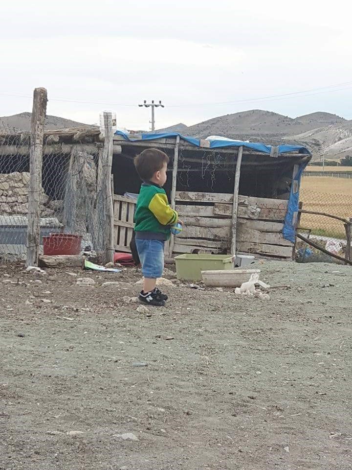 Sinek Isırığıyla Yatağa Bağımlı Kalan Çocuğun Önceki Halleri Yürek Burktu