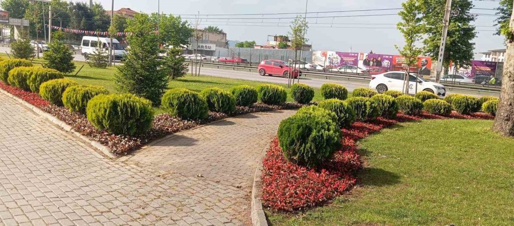 Bursa'da Peyzaj Çalışmaları