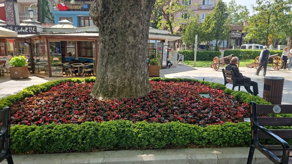 Bursa'da Peyzaj Çalışmaları