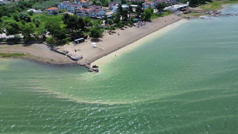 İznik Gölü'nde oluşan kirlilik endişeye sebep oldu