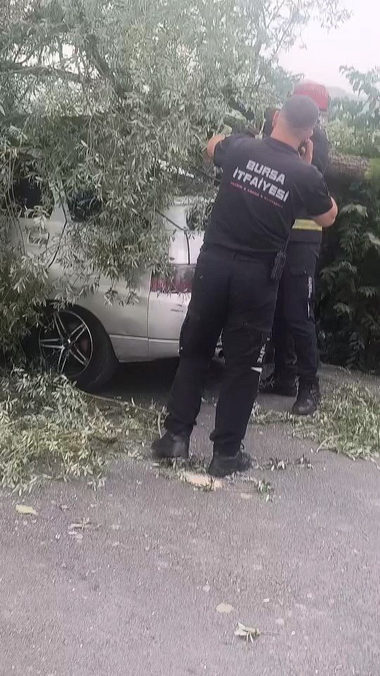 Ağaç Otomobilin Üzerine Devrildi