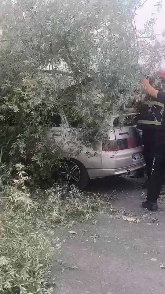 Ağaç Otomobilin Üzerine Devrildi