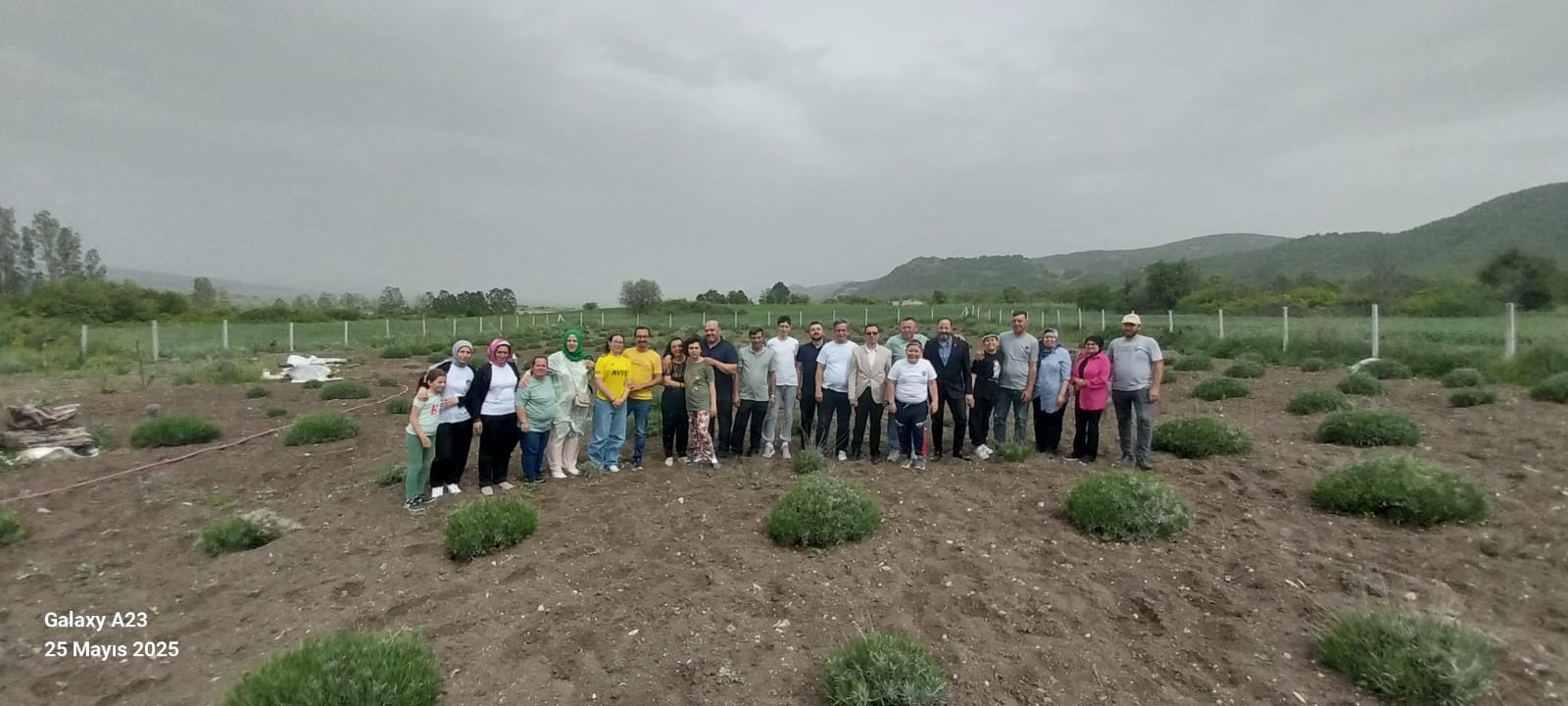 piknik2.jpeg