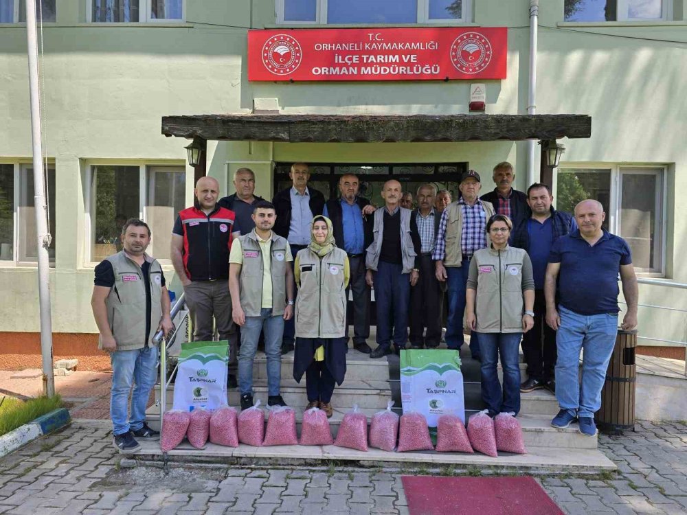 Çiftçilere Kuru Fasulye Desteği