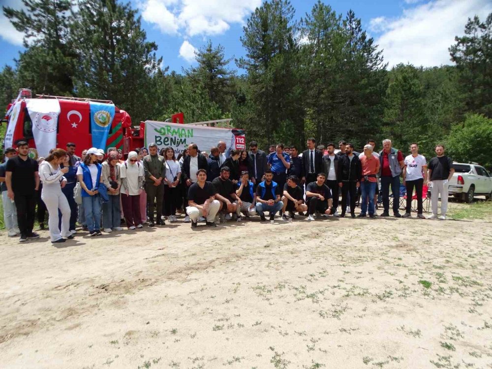 Doğa Yürüyüşünde Ağaçlara 50 Ahşap Kuş Yuvası Astı