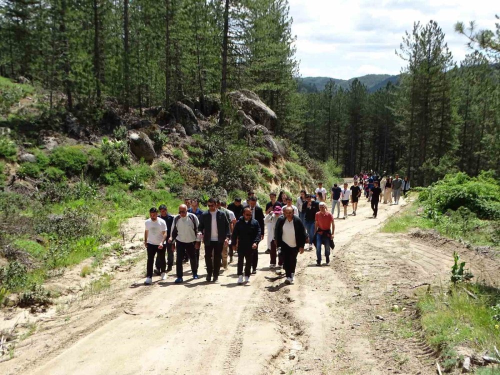 Doğa Yürüyüşünde Ağaçlara 50 Ahşap Kuş Yuvası Astı