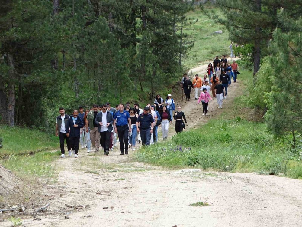 Doğa Yürüyüşünde Ağaçlara 50 Ahşap Kuş Yuvası Astı
