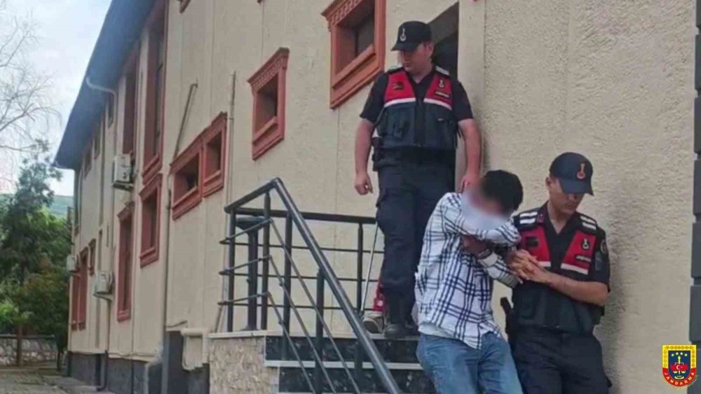 Sahte Alıcılar 4 Küçükbaş Hayvanı Çalıp Kaçtı