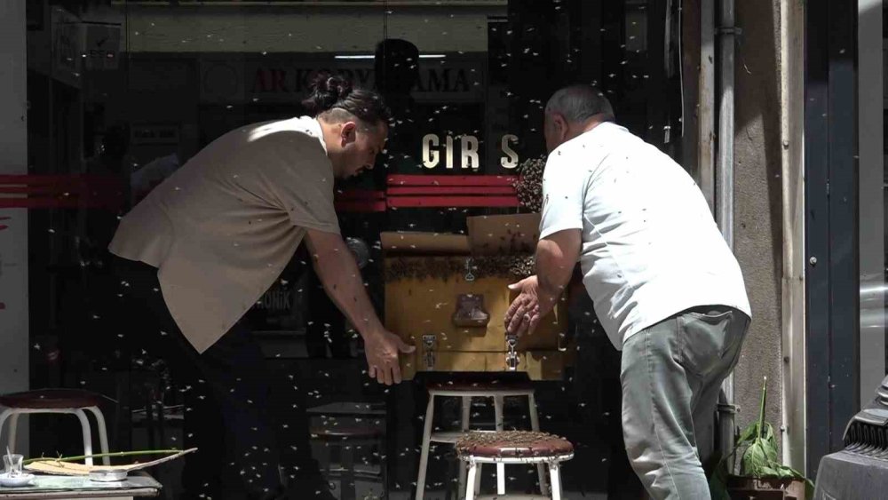 Binlerce Arı İş Merkezini Bastı