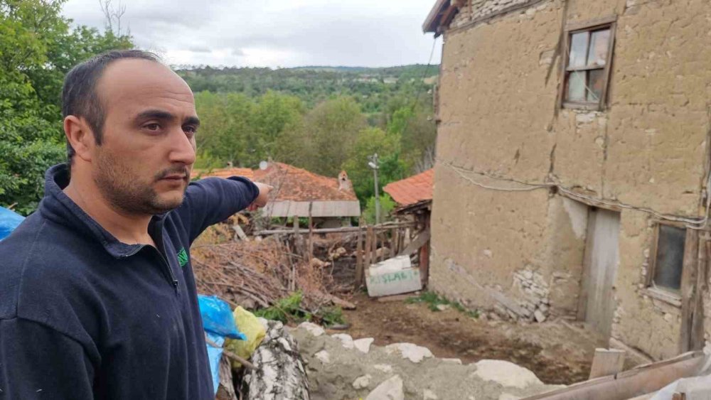 Kurtların Saldırısında 11 Koyun Telef Oldu