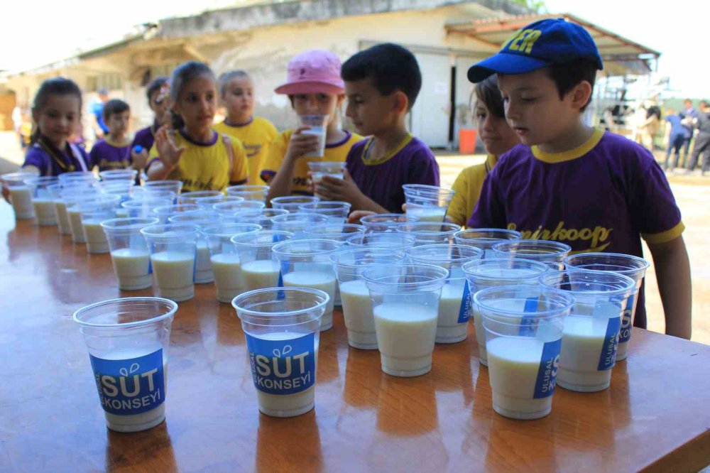 Minikler İnekler Arasında Süt Günü’nü Kutladı