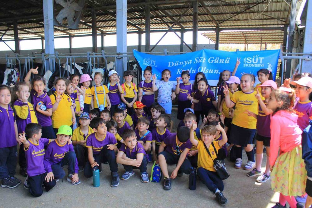 Minikler İnekler Arasında Süt Günü’nü Kutladı