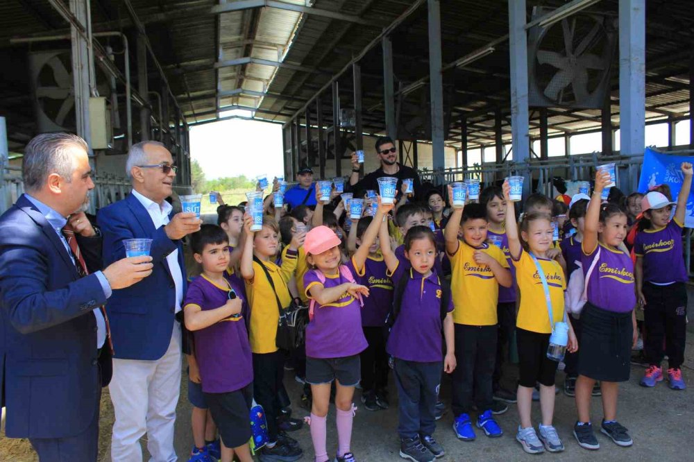 Minikler İnekler Arasında Süt Günü’nü Kutladı