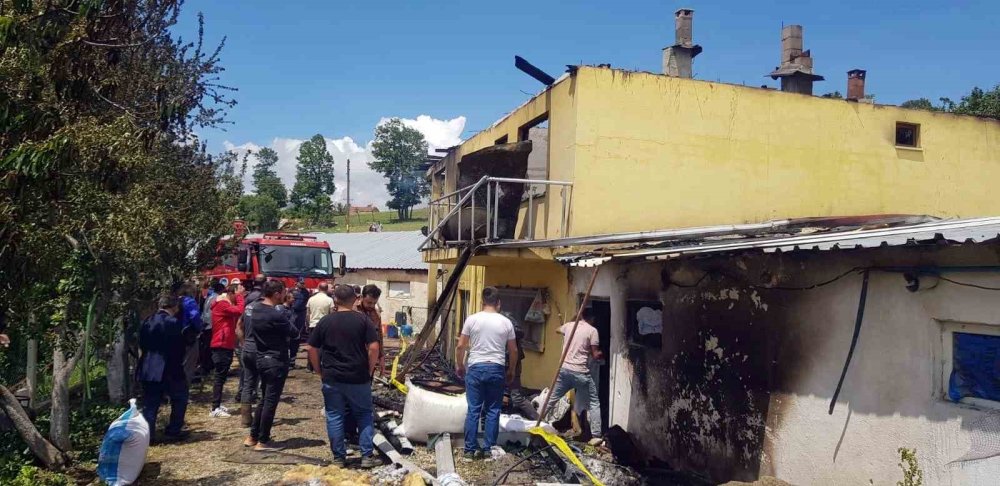 Tavuk Çiftliğinde Yangın