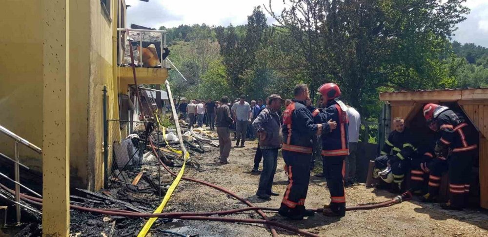 Tavuk Çiftliğinde Yangın
