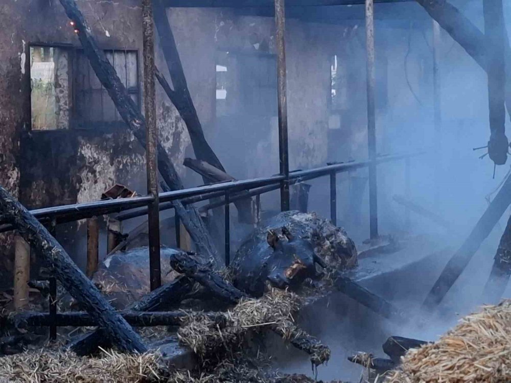 Bayram Öncesi Felaket: Ahırda Çıkan Yangın, Satışı Yapılan 16 Büyükbaşı Telef Etti