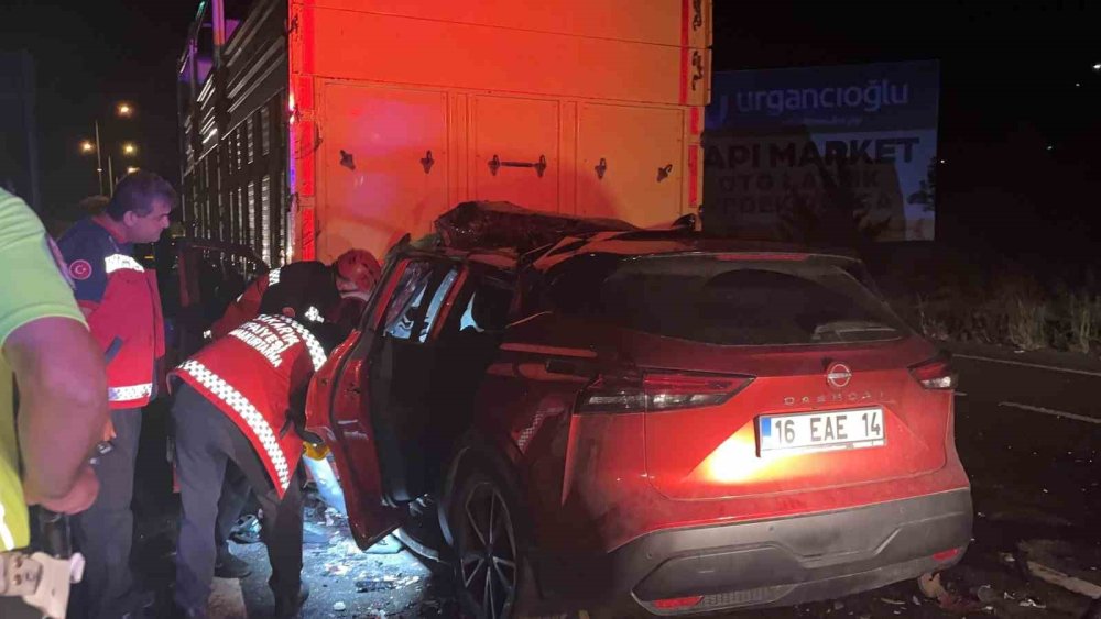 Bilecik yolunda feci kaza! Hayatını Kaybetti