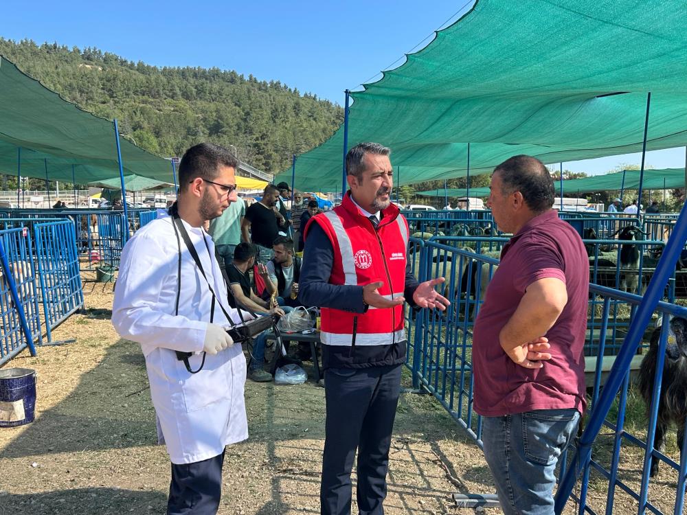 kurban-satis-pazarinda-hayvanlara-gebelik-testi-yapiliyor3.jpg