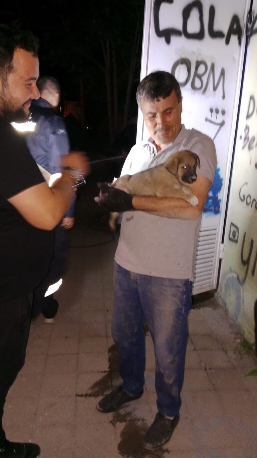 Oedaş Trafoda Mahsur Kalan Yavru Köpeğe Duyarsız Kalmadı