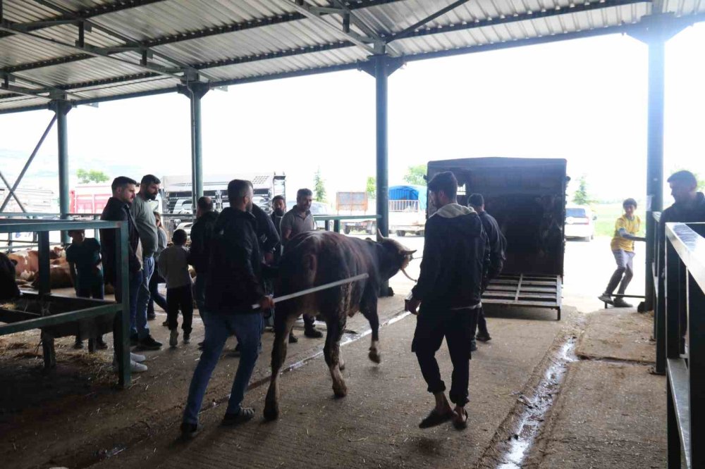 Pazarlıklar Kızıştı, Kimisi "Çok Uygun", Kimisi "Kuru Kalabalık" Dedi