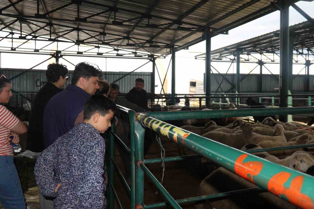 Pazarlıklar Kızıştı, Kimisi "Çok Uygun", Kimisi "Kuru Kalabalık" Dedi